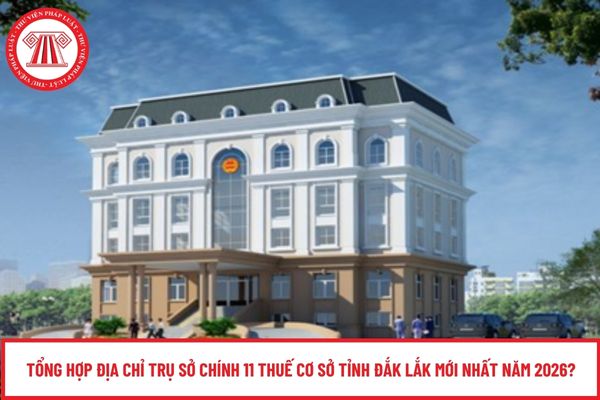 Pháp luật
