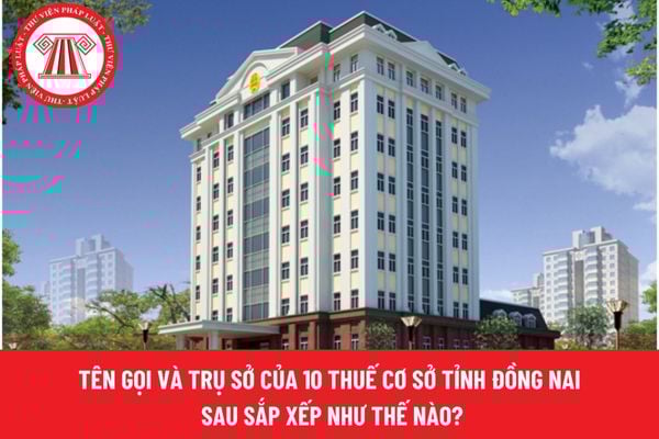 Pháp luật