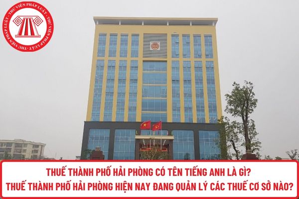 Pháp luật