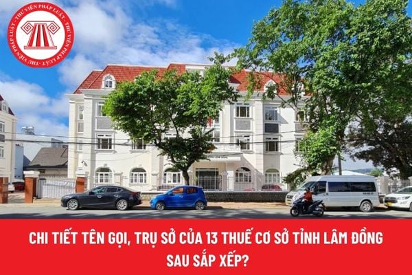 Pháp luật