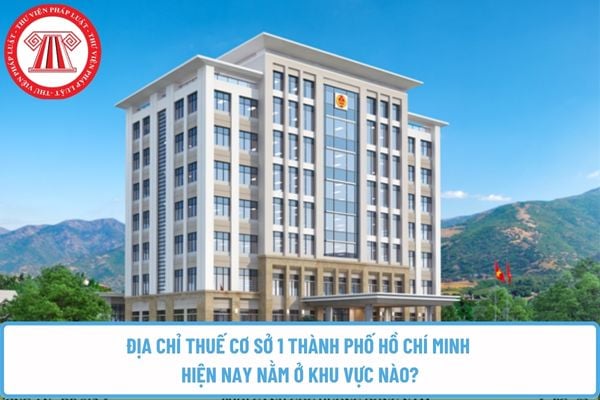 Pháp luật