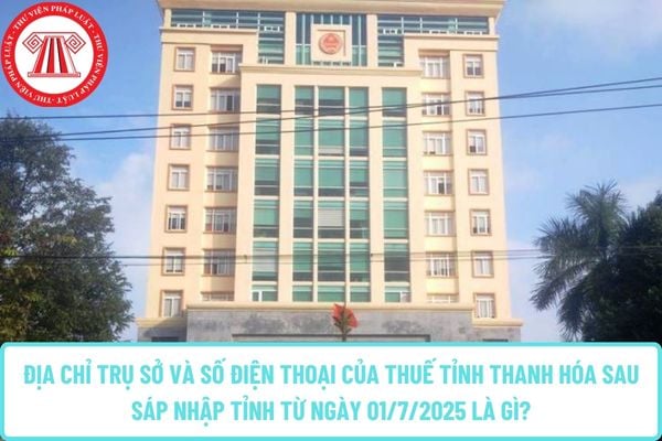 Pháp luật