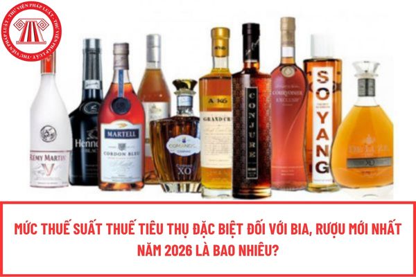 Pháp luật