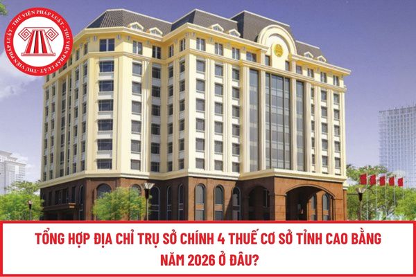 Pháp luật