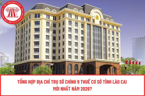 Pháp luật