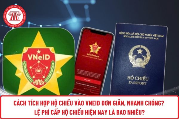 Pháp luật