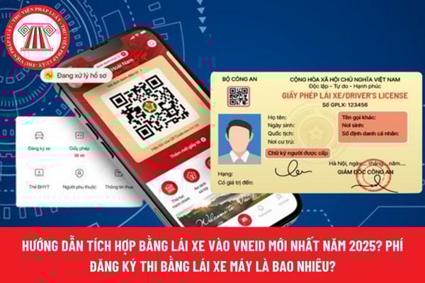 Pháp luật