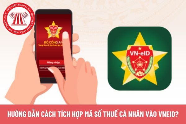 Pháp luật