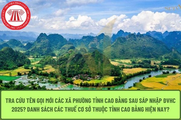 Pháp luật