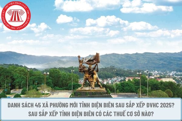 Pháp luật