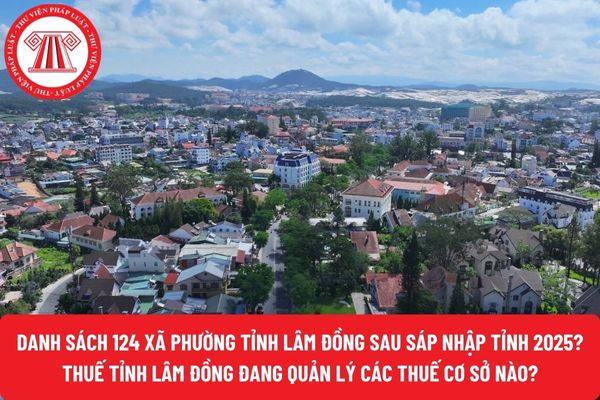 Pháp luật