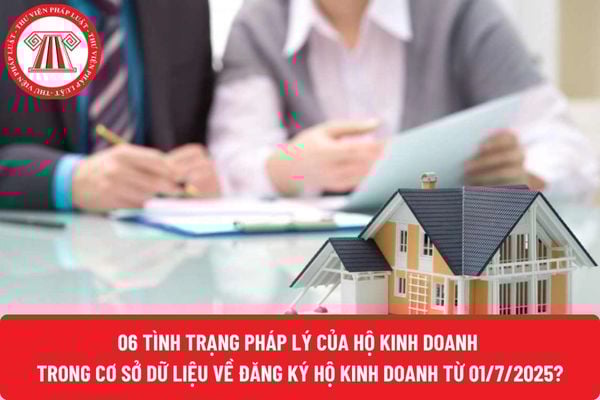 Pháp luật