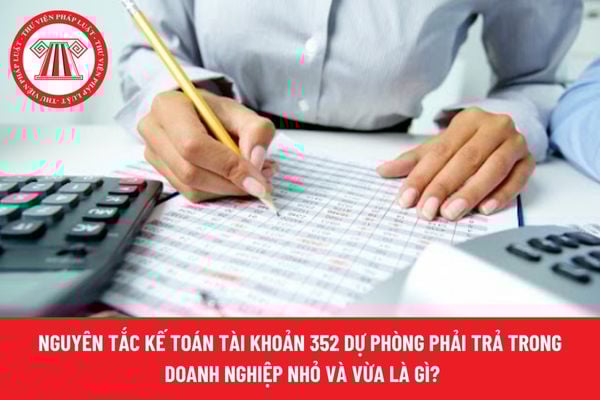 Pháp luật