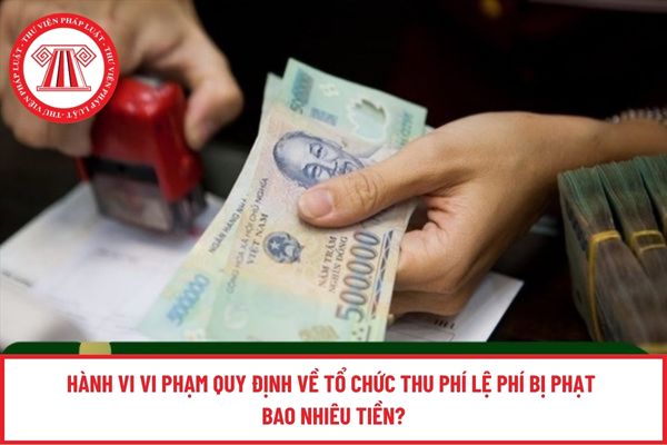 Pháp luật