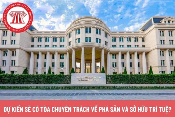 Pháp luật