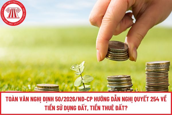 Pháp luật