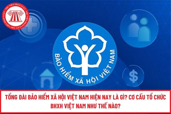 Pháp luật