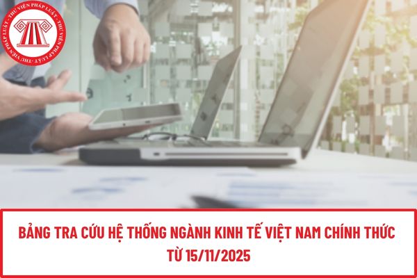 Pháp luật