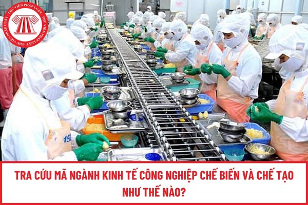 Pháp luật