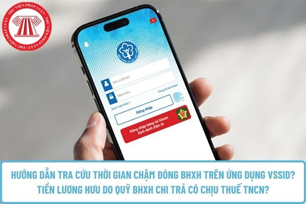 Pháp luật
