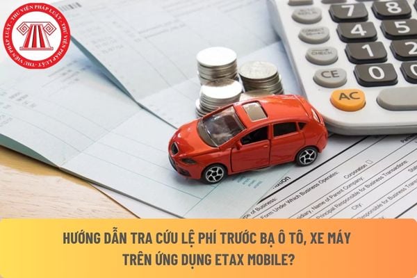 Pháp luật