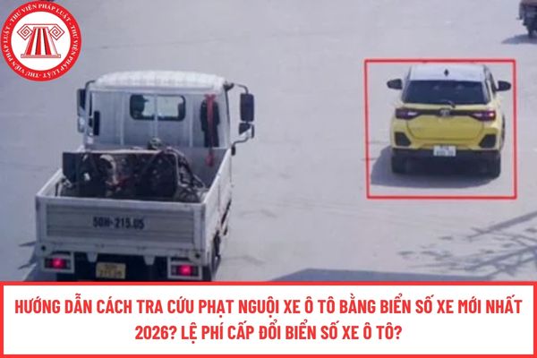 Pháp luật