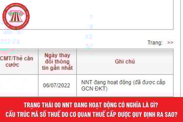 Pháp luật