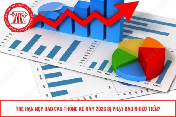 Trễ hạn nộp báo cáo thống kê năm 2026 bị phạt bao nhiêu tiền?