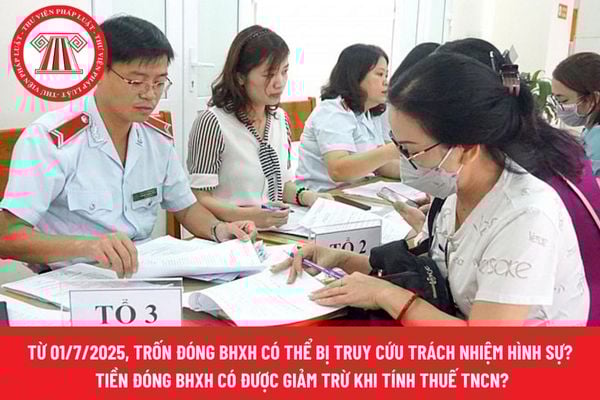 Pháp luật