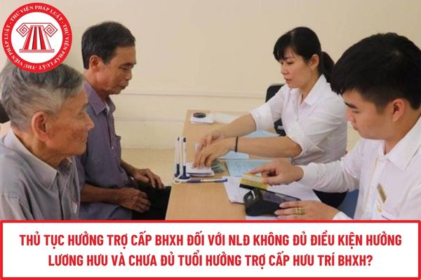 Pháp luật