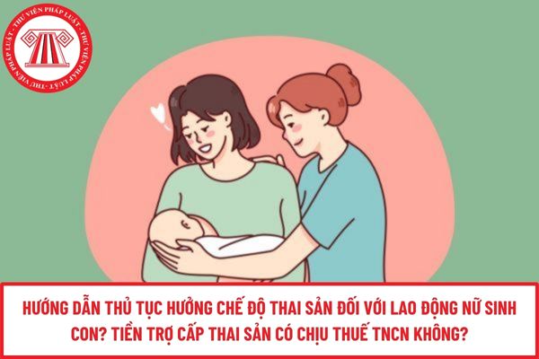 Pháp luật