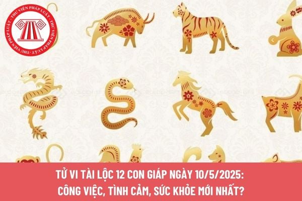 Pháp luật