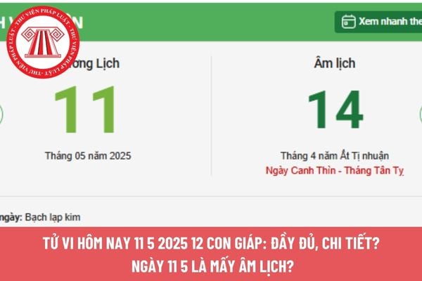 Pháp luật