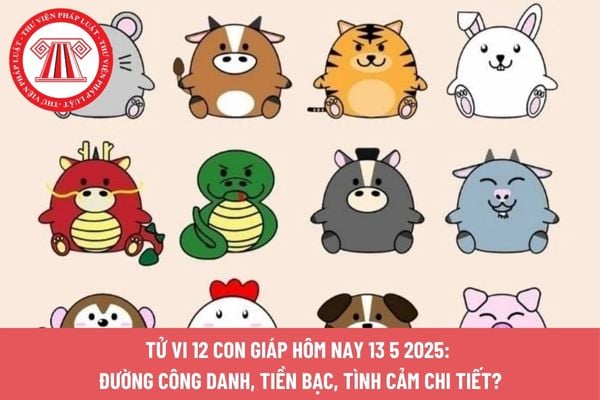 Pháp luật