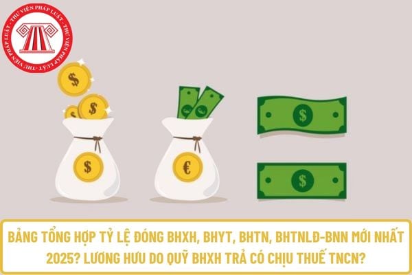 Pháp luật