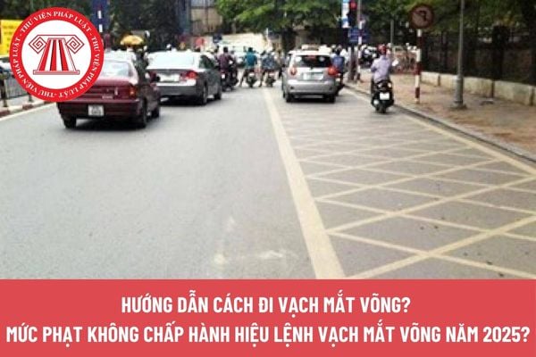 Hướng dẫn cách đi vạch mắt võng? Mức phạt không chấp hành hiệu lệnh vạch mắt võng mới nhất năm 2025?