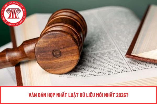 Pháp luật