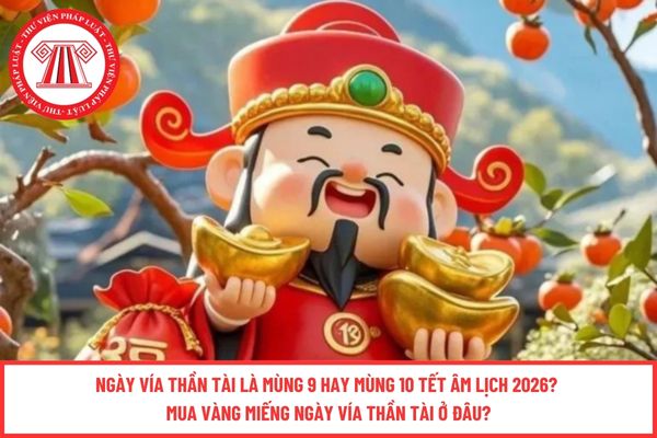 Pháp luật