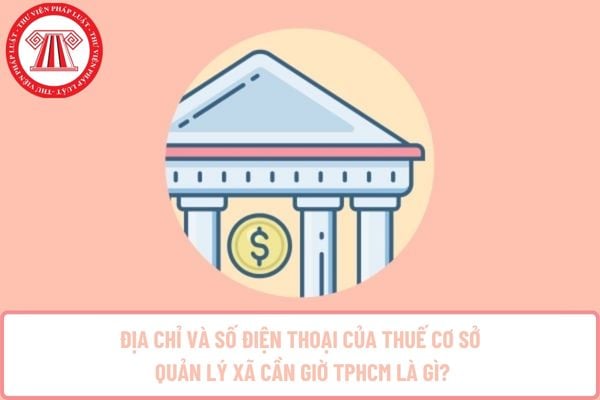 Pháp luật