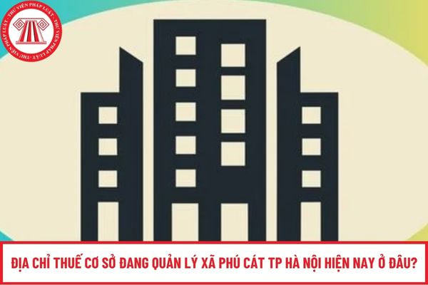 Pháp luật