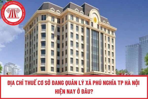 Pháp luật