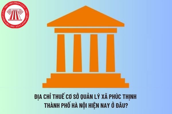 Pháp luật