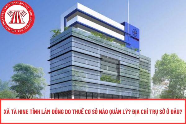 Pháp luật