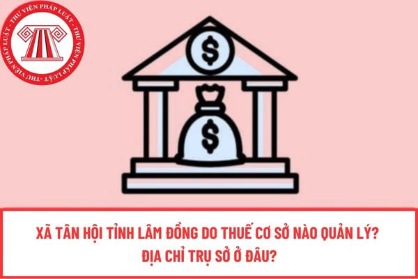 Pháp luật