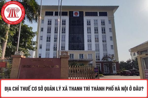 Pháp luật