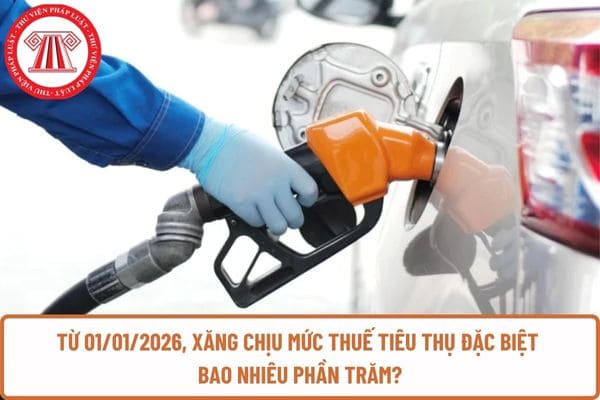 Pháp luật