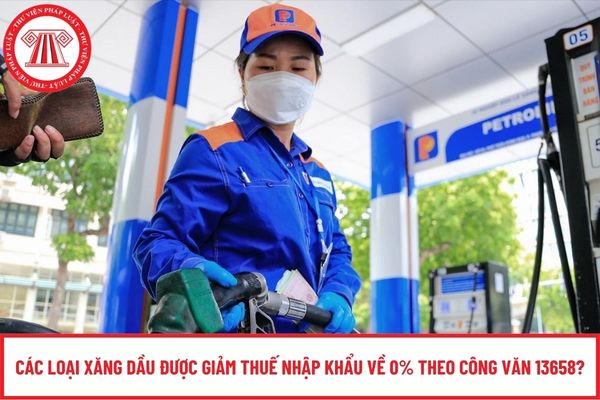 Pháp luật