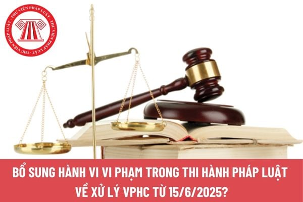 Pháp luật