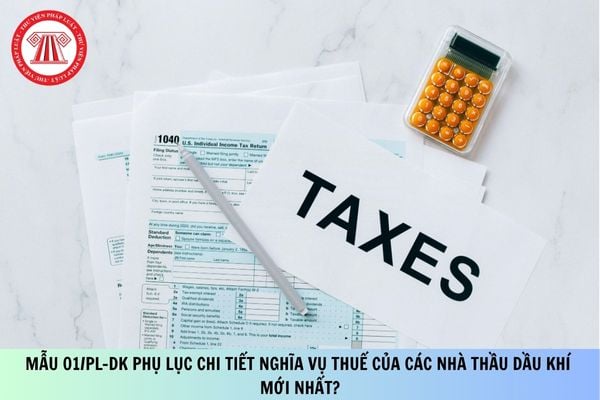 Pháp luật
