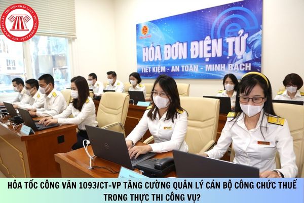 Pháp luật